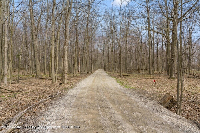 1785 N Williamston Rd, Williamston, MI 48895 - view of road with a view of trees