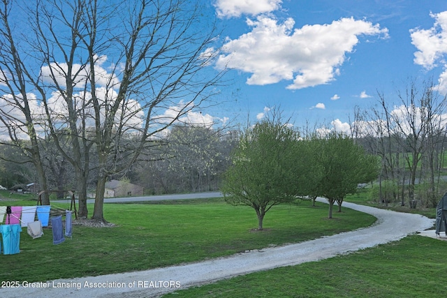 view of home's community with a yard
