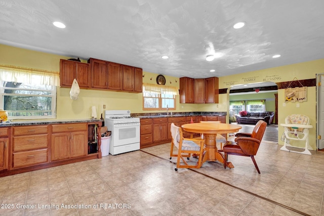kitchen with gas range gas stove, dark countertops, a wealth of natural light, and a sink