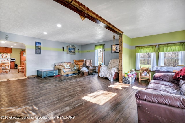 living room featuring wood finished floors, a healthy amount of sunlight, recessed lighting, and arched walkways