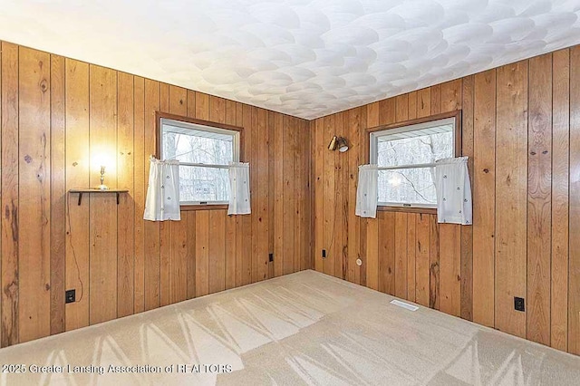 unfurnished room featuring plenty of natural light, carpet floors, and wooden walls
