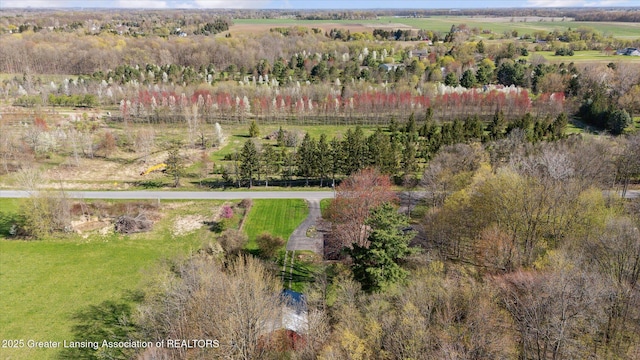 drone / aerial view