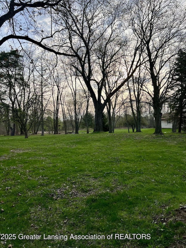 12102 Rupp Rd, Grand Ledge, MI 48837 - view of green lawn