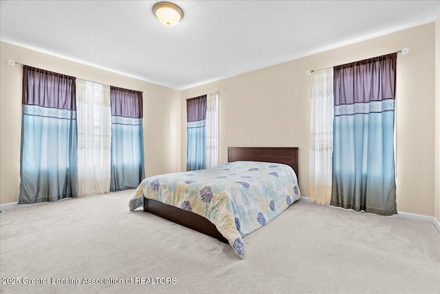 609 E Avocet Dr, East Lansing, MI 48823 - carpeted bedroom with multiple windows and baseboards