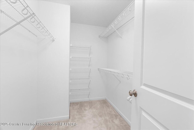 609 E Avocet Dr, East Lansing, MI 48823 - spacious closet featuring carpet