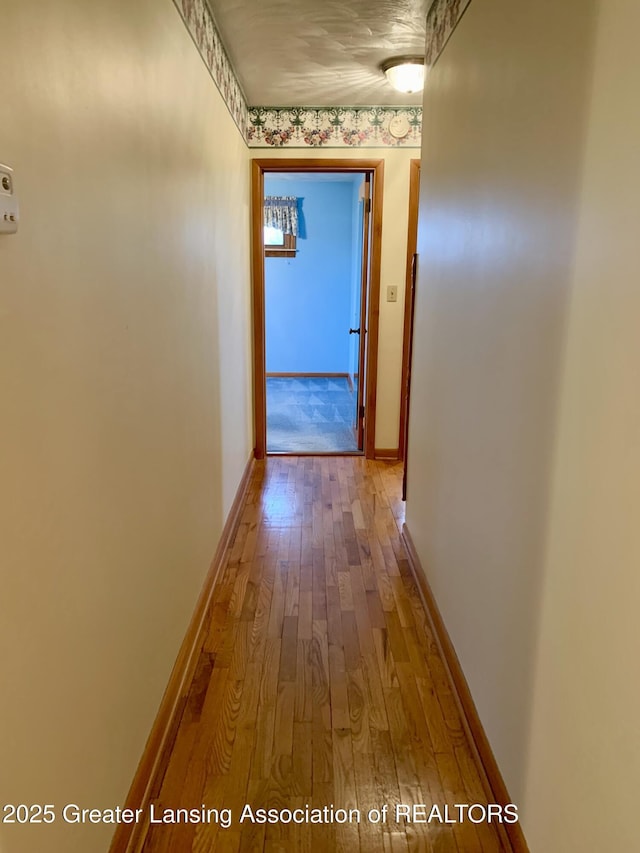 3156 E M-21 Rd, Saint Johns, MI 48879 - hallway featuring hardwood / wood-style flooring and baseboards
