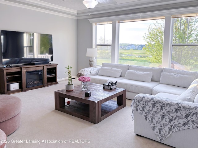2718 Kittansett Dr, Okemos, MI 48864 - living room featuring carpet and crown molding
