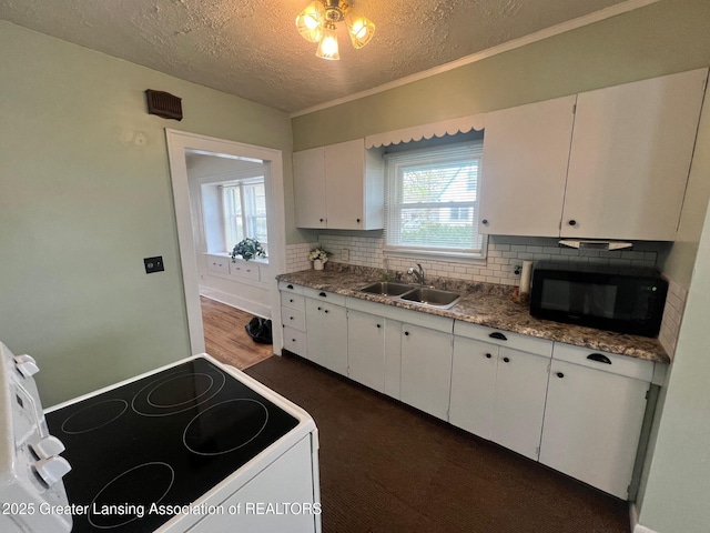 kitchen with black microwave, white electric stove, plenty of natural light, and a sink