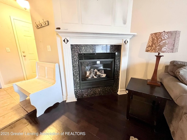 room details featuring a premium fireplace and wood finished floors