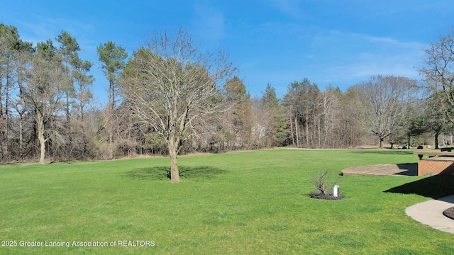 11267 Jarvis Hwy, Dimondale, MI 48821 - surrounding community featuring a yard