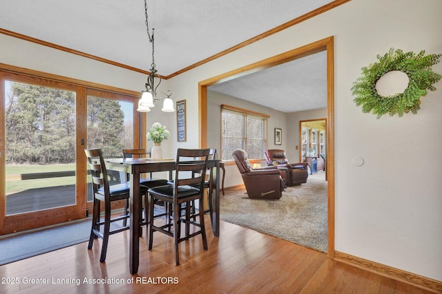 11267 Jarvis Hwy, Dimondale, MI 48821 - dining room featuring baseboards, ornamental molding, and hardwood / wood-style floors
