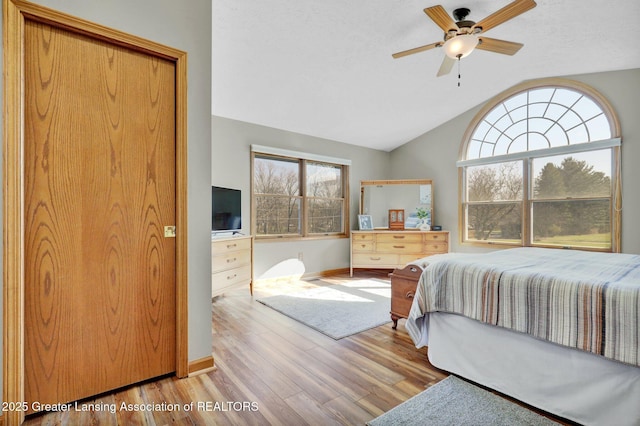 11267 Jarvis Hwy, Dimondale, MI 48821 - bedroom with wood finished floors, baseboards, lofted ceiling, and multiple windows