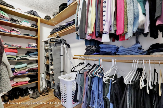 11267 Jarvis Hwy, Dimondale, MI 48821 - spacious closet with wood finished floors