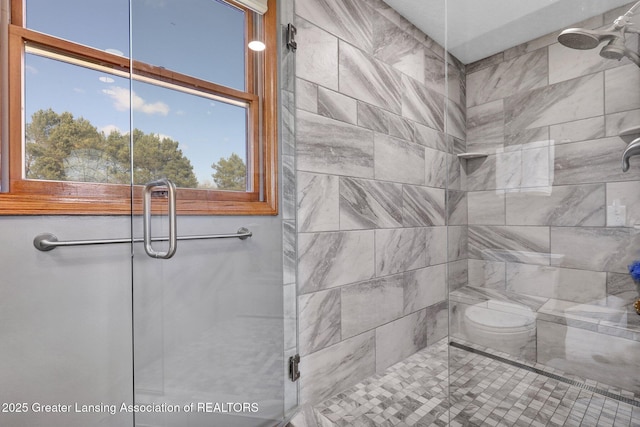 11267 Jarvis Hwy, Dimondale, MI 48821 - full bath featuring a shower stall