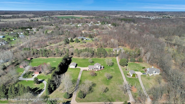 11267 Jarvis Hwy, Dimondale, MI 48821 - bird's eye view