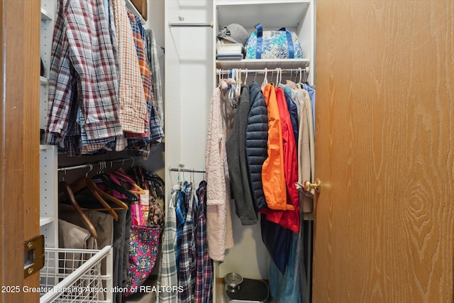 view of walk in closet
