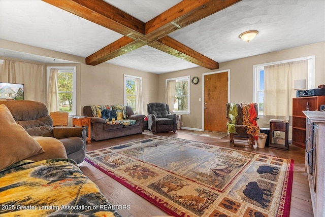 living room featuring wood-type flooring, healthy amount of natural light, beam ceiling, and baseboards