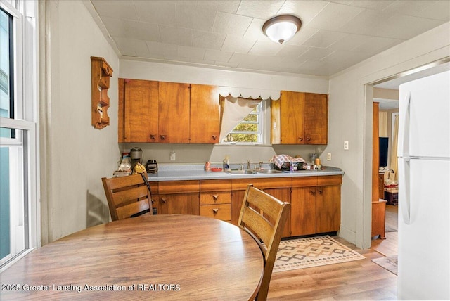 kitchen with freestanding refrigerator, brown cabinetry, a sink, light wood-style flooring, and light countertops