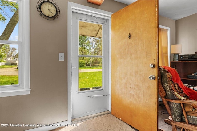 entryway with plenty of natural light