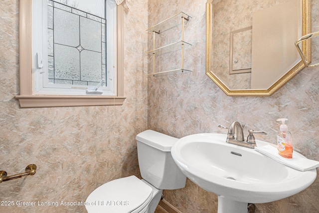 6528 Old River Trl, Lansing, MI 48917 - bathroom featuring toilet and a sink