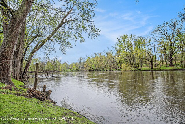 6528 Old River Trl, Lansing, MI 48917 - water view featuring a view of trees