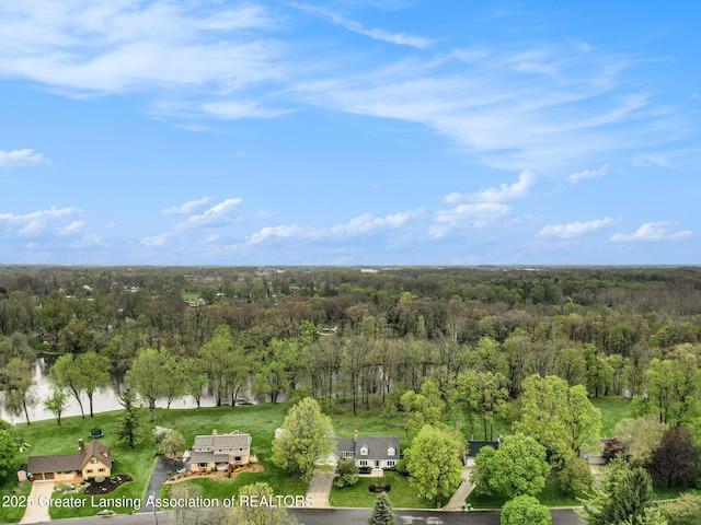 6528 Old River Trl, Lansing, MI 48917 - birds eye view of property featuring a wooded view