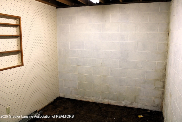 basement with concrete block wall