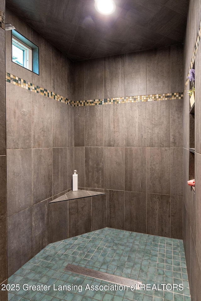 620 Ardson Rd, East Lansing, MI 48823 - full bathroom featuring tiled shower