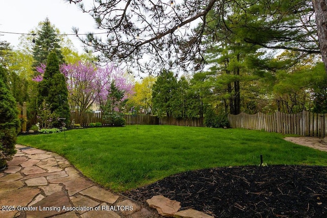 620 Ardson Rd, East Lansing, MI 48823 - view of yard