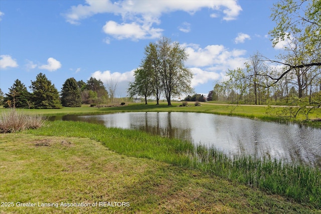 1551 E Lovejoy Rd, Perry, MI 48872 - water view