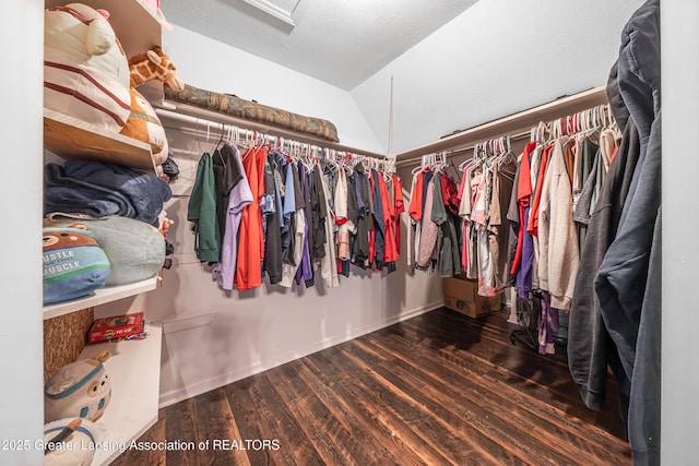 spacious closet featuring wood finished floors and lofted ceiling