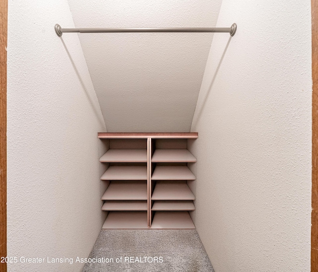 walk in closet with carpet floors