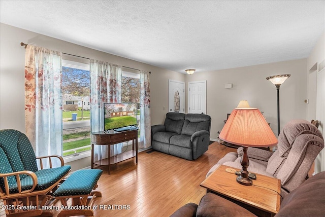 living room with a textured ceiling and hardwood / wood-style flooring