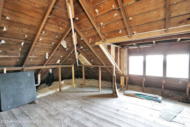 1127 W Saginaw St, Lansing, MI 48915 - unfinished attic with a healthy amount of sunlight