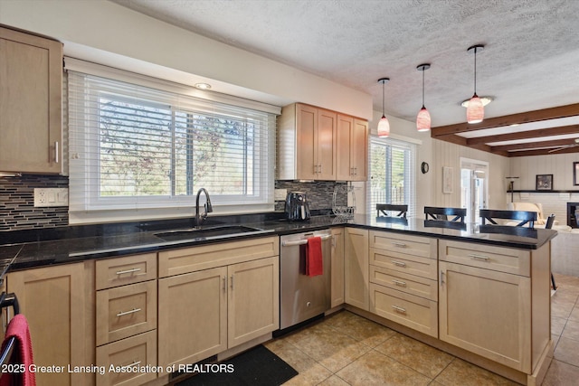 kitchen with stainless steel dishwasher, a peninsula, plenty of natural light, and a sink