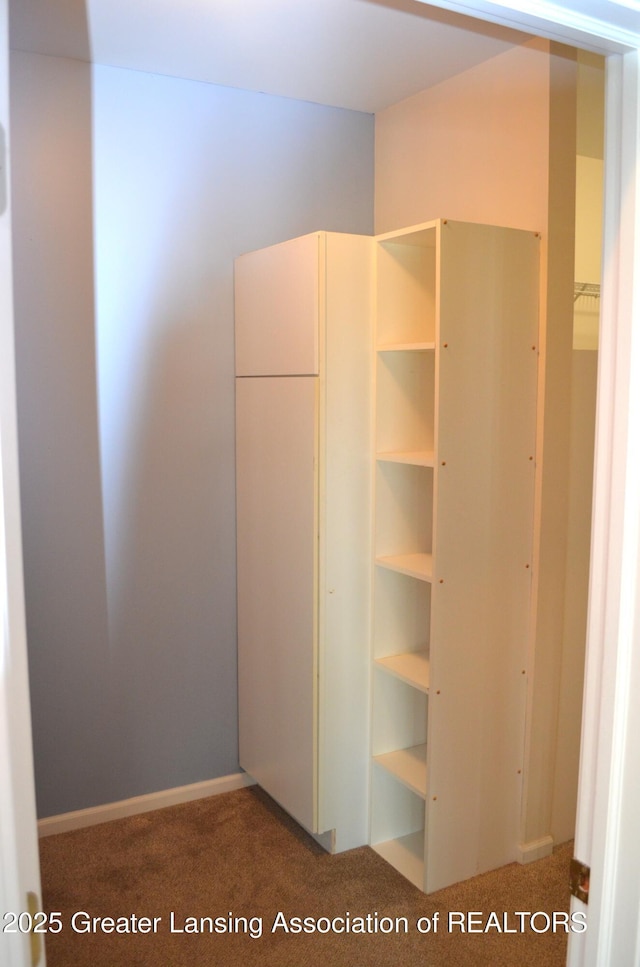 3401 N Burwick Dr, Port Huron, MI 48060 - view of closet
