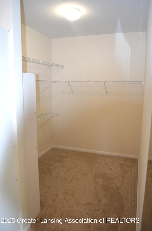 3401 N Burwick Dr, Port Huron, MI 48060 - spacious closet with carpet flooring