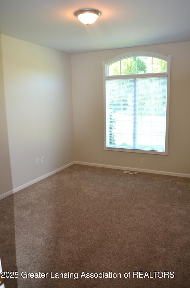 3401 N Burwick Dr, Port Huron, MI 48060 - unfurnished room featuring healthy amount of natural light, carpet flooring, and baseboards