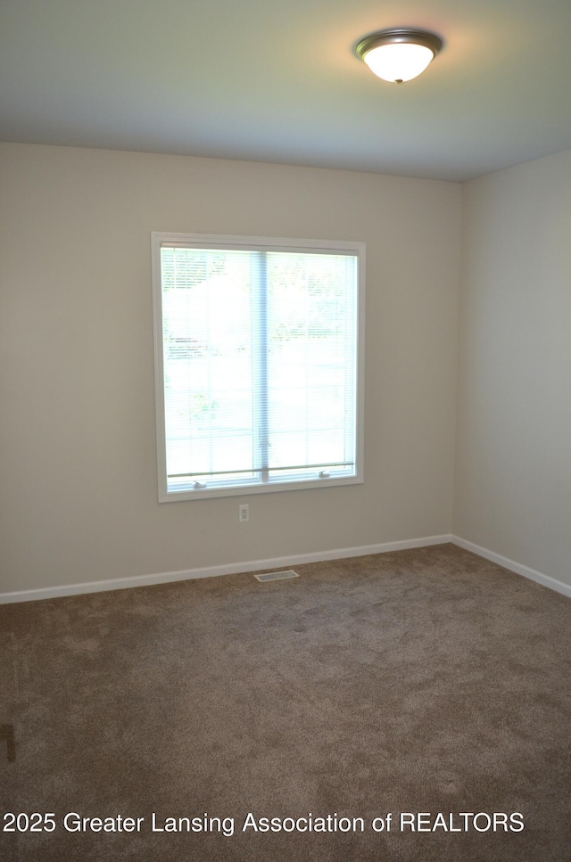3401 N Burwick Dr, Port Huron, MI 48060 - empty room with healthy amount of natural light, carpet flooring, and baseboards
