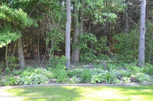3401 N Burwick Dr, Port Huron, MI 48060 - view of yard