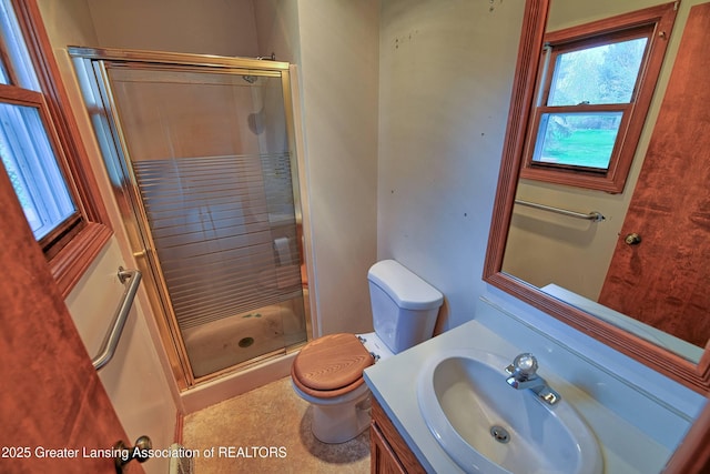 9408 W Scenic Lake Dr, Laingsburg, MI 48848 - full bath featuring vanity, a stall shower, toilet, and a wealth of natural light