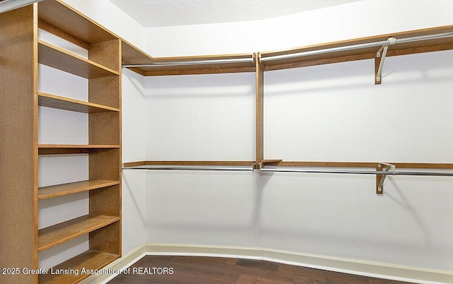 8505 W Willow Hwy, Grand Ledge, MI 48837 - spacious closet with dark wood-type flooring