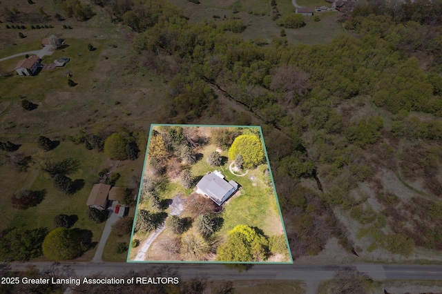 drone / aerial view
