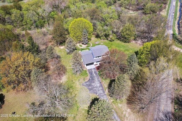 drone / aerial view