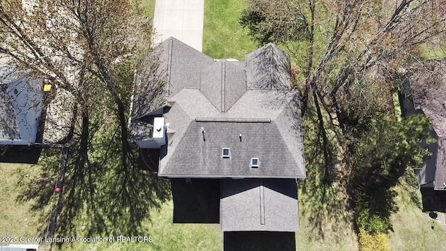 drone / aerial view