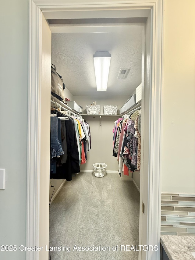 spacious closet with carpet floors