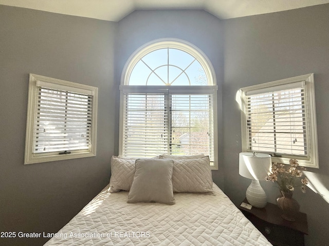 bedroom with lofted ceiling