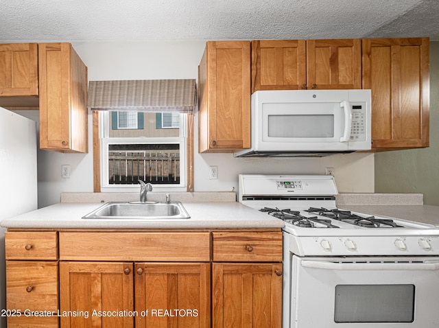 kitchen with a sink, light countertops, brown cabinets, and white appliances