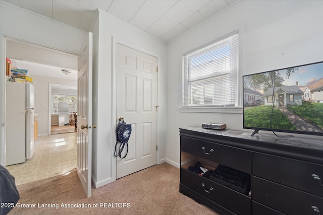 interior space featuring freestanding refrigerator, baseboards, and light carpet