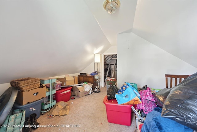 interior space with carpet floors and lofted ceiling